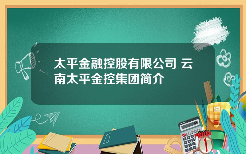 太平金融控股有限公司 云南太平金控集团简介
